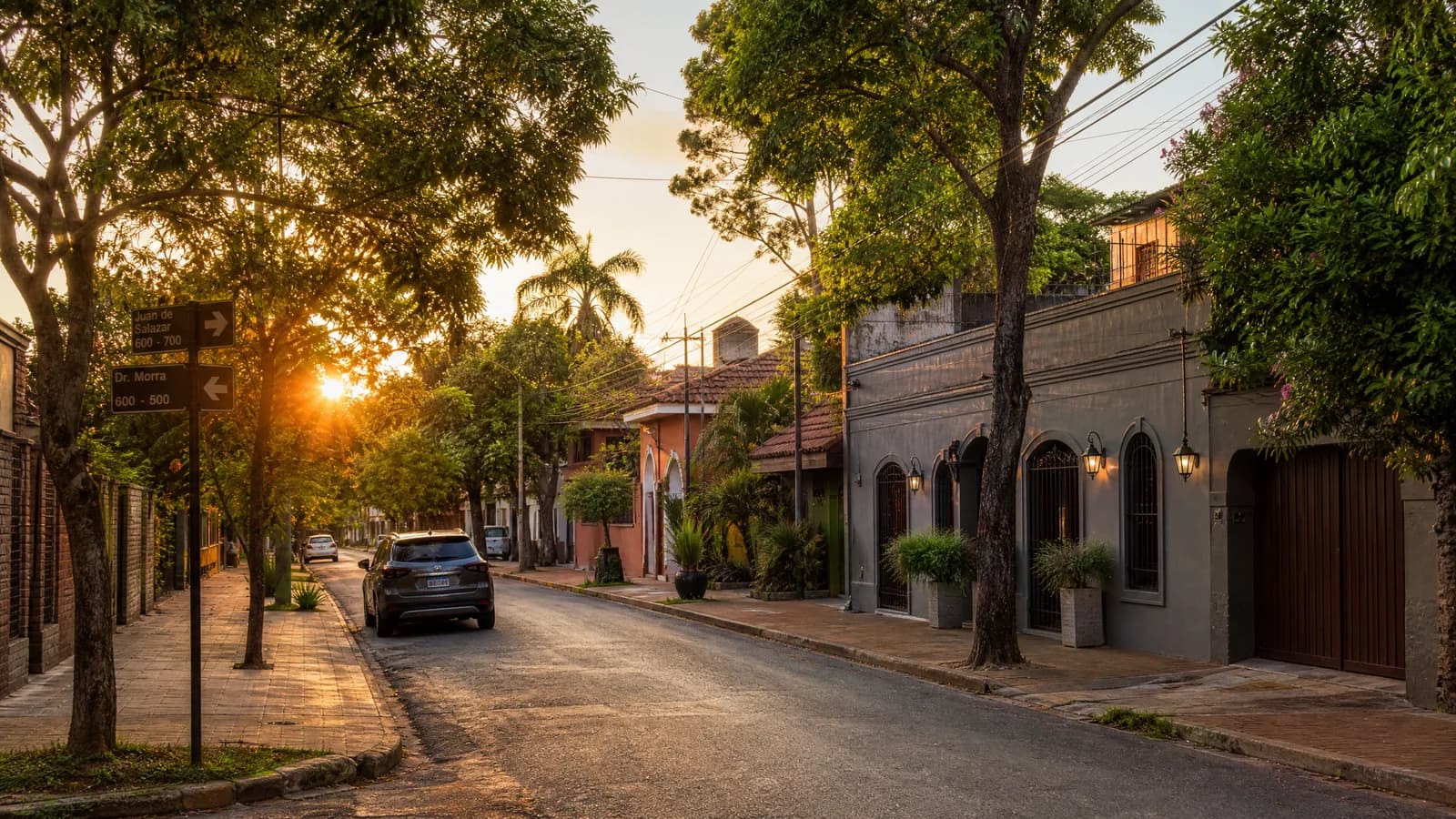 Ruhige baumbestandene Wohnstraße in Asunción im goldenen Abendlicht